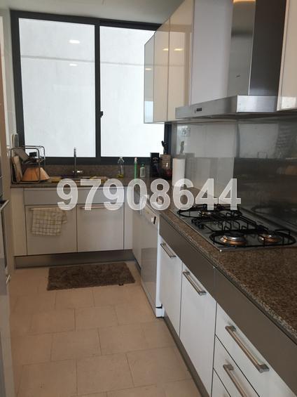 RiverGate (D9), Apartment #82912422